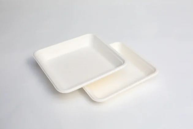Bandeja Food Service 6" x 6"