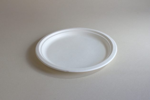 Plato Pando 10"